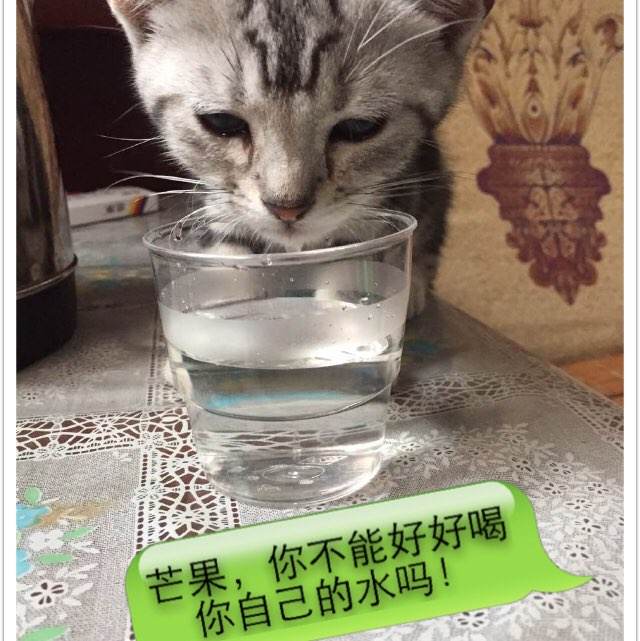 帝京平成大学本科学位证